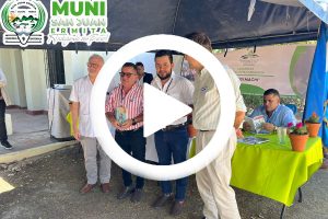 Ver video en Facebook